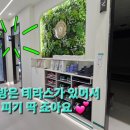 파크투 이미지