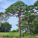 백송푸드 이미지