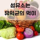 비만 아이 커서 이 병 위험 2배 높다 이미지