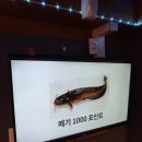 얼빵 낚시카페 이미지