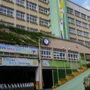 새론삶