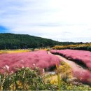 광산마을 이미지