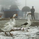 이해용 농장 Daum카페