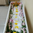 진성의전