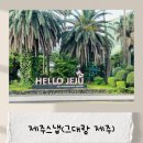 시앤제이 | 제이용 W#13_제주스냅 후기(그대랑 제주, 유진 실장님)
