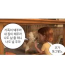 서울일기
