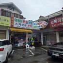 고월드샵