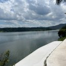 개멍물멍 이미지