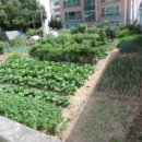 평화동010 이미지