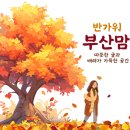 171번, 61번, 161번 노선 변경계획이 생겼네요 ㅜㅜ 이미지