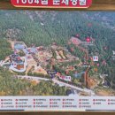 노을정원 | 전남 신안 1004섬 분재정원 &amp; 저녁노을미술관 여름 방문 후기