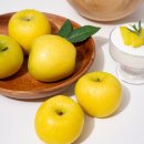 (주)더조은 이미지