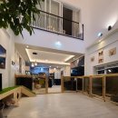 댕이멍이 이미지