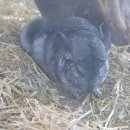 성국농장 이미지