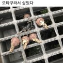 에스 태권도장 | 갑차기스러운데 10월 취소해도 돼?