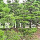 솔향기농원