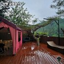 양평현대써비스 | 자연 속 힐링 글램핑, 양평 글램퍼스 솔직 후기 🍃✨