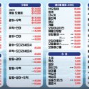 속초 오징어 어시장 이미지