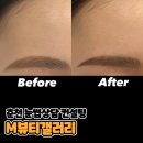 힐링장 | 춘천 눈썹 컨설팅 솔직후기 [M뷰티 갤러리]