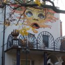 오리 날다 이미지