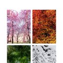 장성군삼서면보생보건진료소 | 한. 일 관광지에 비현실적이고 이쁘고 보물 같은 관광지도 있다고?!(계절별)