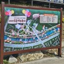 뱃들로 | 2025 보은대추축제 다녀온 후기!