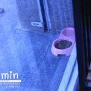 고마워 MIN 이미지