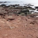 경정리 (차유마을) 해안가 이미지