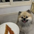 뽀까부엌 이미지