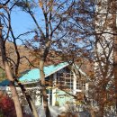 #가을이 가기전에~~~#곤지암리조트 산책길 이미지