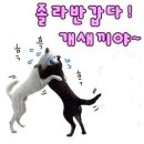 짱이네 - 송파구 성내천로 276 | 짱이네