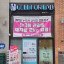 김포 굶지않고 누워서 하는 체형관리 체질 개선 다이어트 셀포랩 더빛나