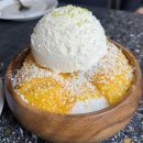 필리핀 세부 막탄 솔레아리조트, 놀자호핑 투어 내돈내산 후기