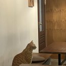 안현로서6길 이미지