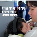 콜오피스센터 | 6개월 아기랑 비행기타고 유럽 해외여행 후기 (이코노미 클래스 베시냇 좌석, 비행기 꿀템, 비행기 준비물)