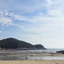 동해조개구이 | 을왕리 동해회조개구이 후기 | 바다뷰까지 즐기는 을왕리 조개구이 추천 애견동반 맛집