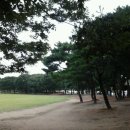 기체조교실 이미지