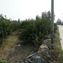 G1051 이미지