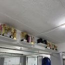 용인대영등포체육관 이미지