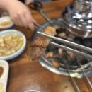 꼴통막창 - 안성시 | 꼴통막창