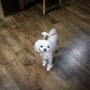 쿠바(CUBAR) 이미지