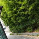 수원 빈센트 약국 이미지