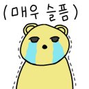루모스나;라탄 네이버블로그