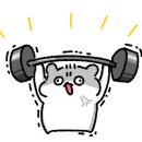 DYGYM 이미지