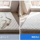 햇볕의 청소방제