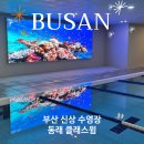 우리동네 신발이야기 | 부산 신상 수영장 클래스윔 동래점, 전세내고 자유수영 해 본 후기!(비용/주차장)