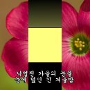 못잊어 (패티김) : Tenor 이미지