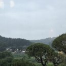 산에그린