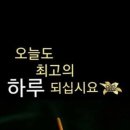 하루하루 Daum카페