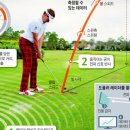 알지골프 이미지